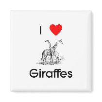 I love giraffes Magnet