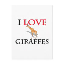 I Love Giraffes