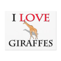 I Love Giraffes