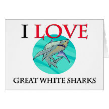I Love Great White Sharks Card