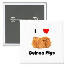 I love guinea pigs Button