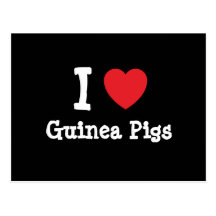 I love Guinea Pigs heart custom personalized Post Card