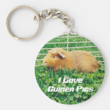 I Love Guinea Pigs Keychain