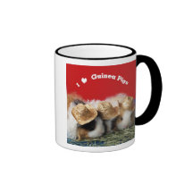 I Love Guinea Pigs Mug