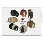 I Love Guinea Pigs - NoteCard