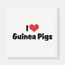 I Love Guinea Pigs Refrigerator Magnet