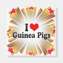 I Love Guinea Pigs Refrigerator Magnets
