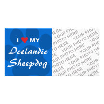 I Love (Haert) My Icelandic Sheepdog Photo Card Template