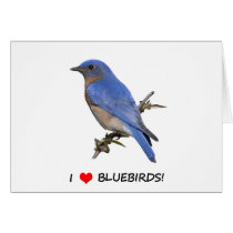 I Love (heart) Bluebirds Greeting Cards