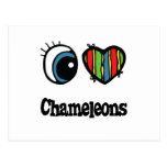 I Love (Heart) Chameleons Post Cards