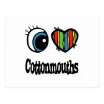 I Love (Heart) Cottonmouths Post Cards