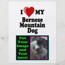 I Love (Heart) My Bernese Mountain Dog Flyer Design