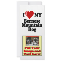 I Love (Heart) My Bernese Mountain Dog Rack Card Design