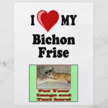 I Love (Heart) My Bichon Frise Dog Full Color Flyer