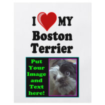 I Love (Heart) My Boston Terrier Dog Custom Flyer