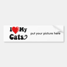 I Love (Heart) My Cats Bumper Sticker