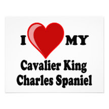 I Love (Heart) My Cavalier King Charles Spaniel Invitation