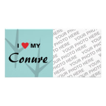 I Love (Heart) My Conure Bird Tracks Design Custom Photo Card
