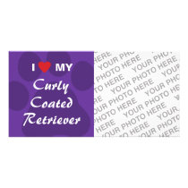 I Love (Heart) My Curly Coated Retriever