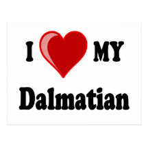 I Love (Heart) My Dalmatian Dog Post Cards