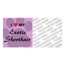 I Love (Heart) My Exotic Shorthair Pawprint Design