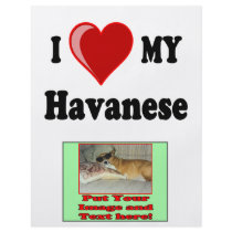 I Love (Heart) My Havanese Dog Flyers