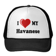 I Love (Heart) My Havanese Dog Hat