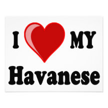 I Love (Heart) My Havanese Dog Personalized Invite