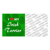 I Love (Heart) My Irish Terrier