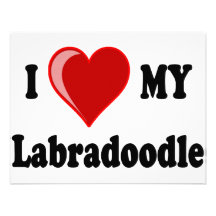 I Love (Heart) My Labradoodle Dog Personalized Announcement