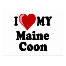 I Love (Heart) My Maine Coon Cat Post Card
