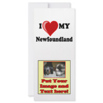 I Love (Heart) My Newfoundland Dog Full Color Rack Card