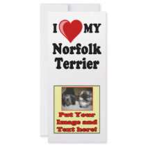 I Love (Heart) My Norfolk Terrier Dog Customized Rack Card