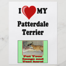 I Love (Heart) My Patterdale Terrier Dog Custom Flyer
