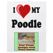 I Love (Heart) My Poodle Dog Flyer Design