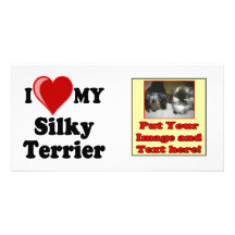 I Love (Heart) My Silky Terrier Dog Photo Greeting Card
