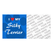 I Love (Heart) My Silky Terrier Personalized Photo Card