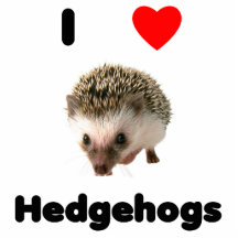 I love hedgehogs acrylic cut outs