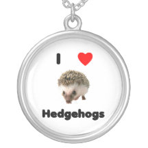 I love hedgehogs pendants