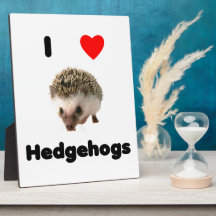 I love hedgehogs plaque