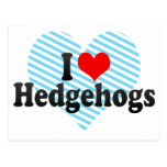I Love Hedgehogs Post Card
