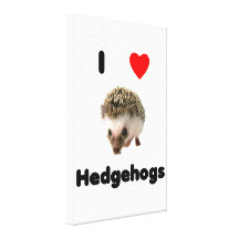 I love hedgehogs stretched canvas print