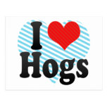 I Love Hogs Postcard