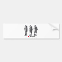 I Love Horses: Drawing of Three Horse Rear Ends Bumper Stickers