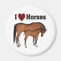I Love Horses Magnet