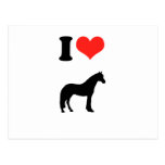 I Love Horses Post Card