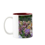 I love Irises! Mugs