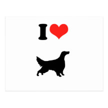 I Love Irish Setters Postcard