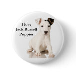 I love Jack Russsell puppies Buttons