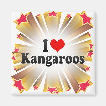 I Love Kangaroos Magnets